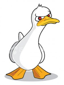 Angry Duck